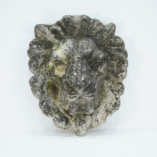 Lion's Mask