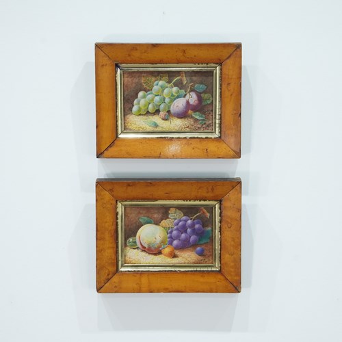 Still Life Watercolours