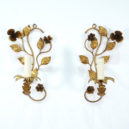 Single Wall Sconces