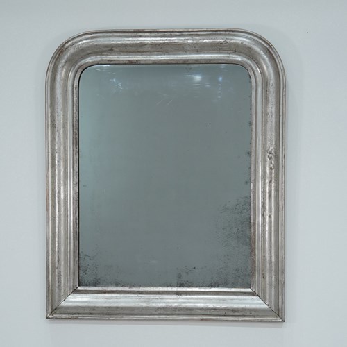 Silver Leaf Wall Mirror