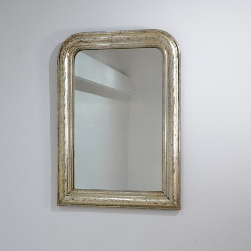 Silver Leaf Wall Mirror