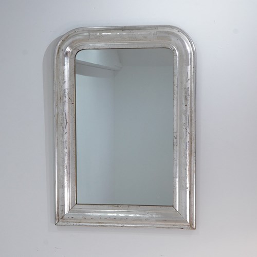 Bright Silver Leaf Wall Mirror