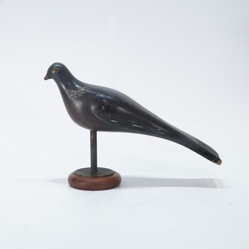 Pigeon Decoy