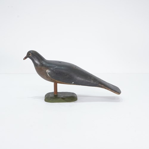 Decoy Pigeon On Stand