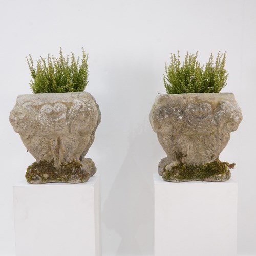 Lion Urns