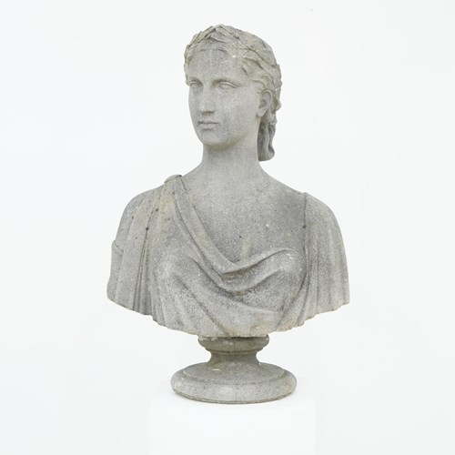 Classical Bust