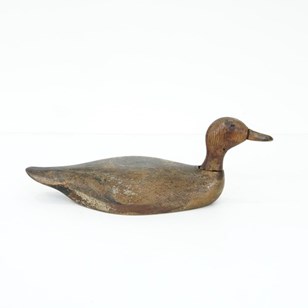 Decoy Duck