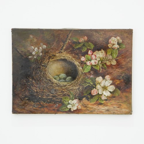 Still Life Birds Nest And Apple Blossom