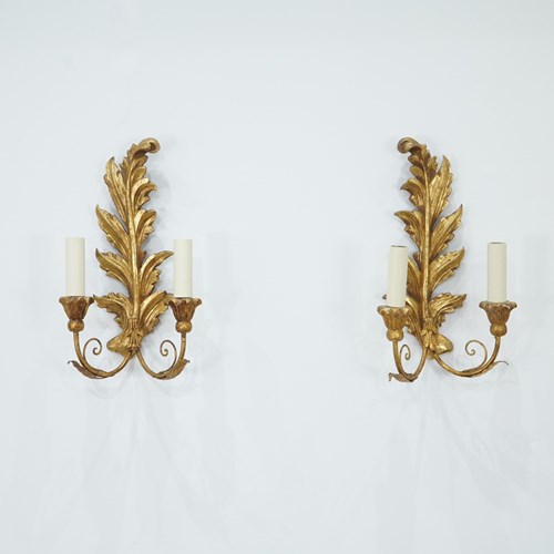 Gilt Wood Plume Wall Sconces