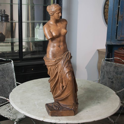 Plaster Model Of Venus