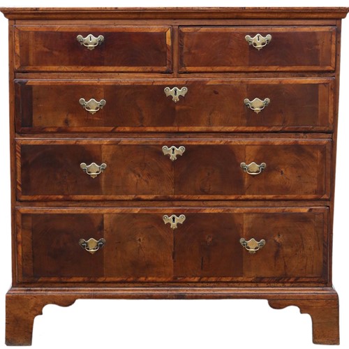 Oyster walnut fruitwood chest of drawers