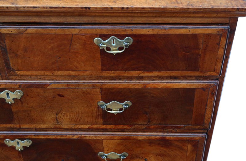Oyster walnut fruitwood chest of drawers-prior-willis-antiques-7718-4-main-637421826905837161.jpg