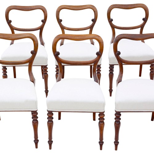 Antique Set Of 6 Victorian Rosewood Balloon Back Dining Chairs Mid 19Th Century