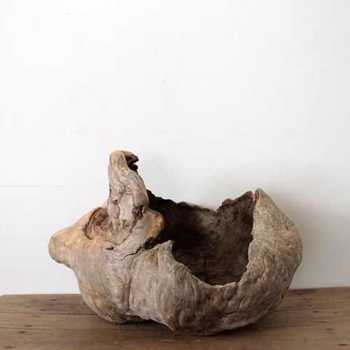 Sculptural Olive Wood Root Bowl