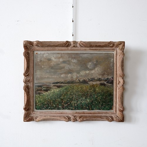 Wild Flower Meadow And Mountains