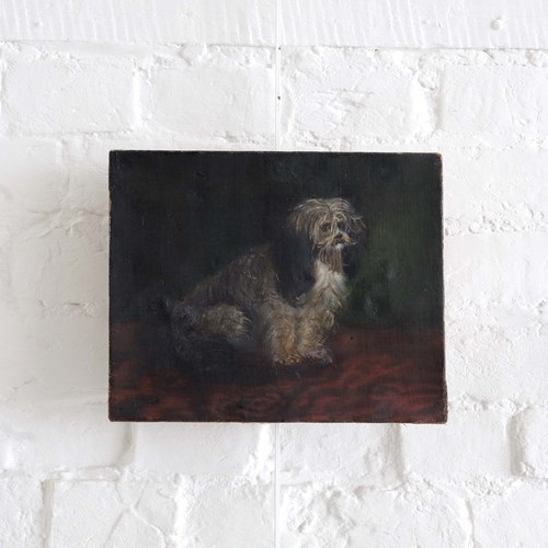 Skye Terrier