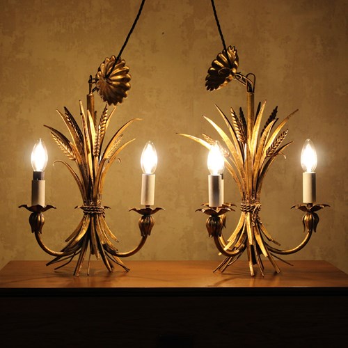  Pair Of Italian Gilt Wheatsheaf Pendant Lights