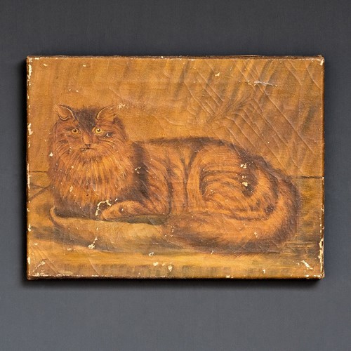Naive Folk Art Study Of A Cat, Oil On Canvas, 19Th Century Antique Original Oil 