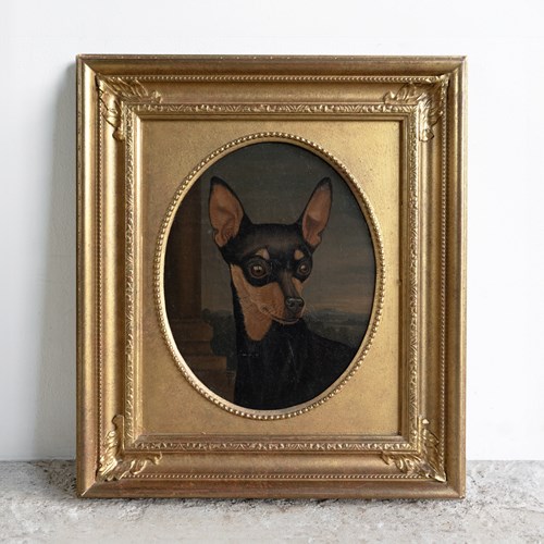 Antique Portrait Of A Miniature Pinscher, Original Oil Painting Of A Dog, 19Th C