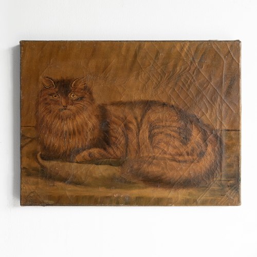 Antique Naive Folk Art Cat Portrait, Original Oil On Canvas Painting, 19Th C.