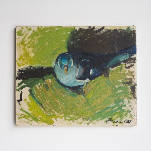 Mid Century Pigeon Portrait, Original Vintage Oil Painting, 1960S