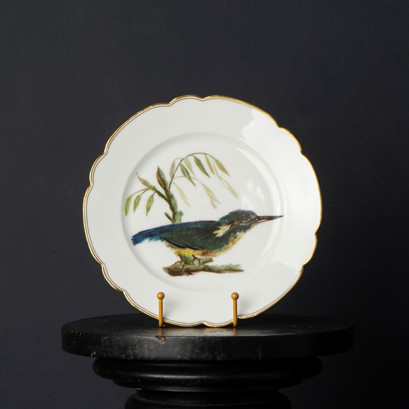 Antique French Hand-Painted Kingfisher Porcelain Plate, 19Th Century-rag-and-bone-dsc04346-main-638048225733683140.jpg