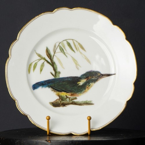 Antique French Hand-Painted Kingfisher Porcelain Plate, 19Th Century