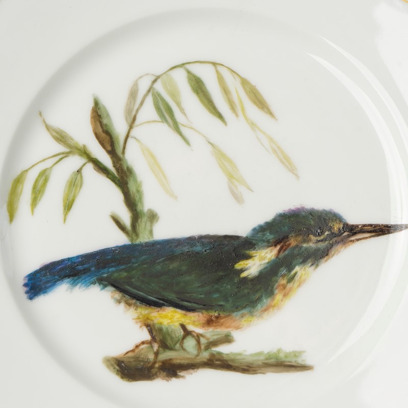 Antique French Hand-Painted Kingfisher Porcelain Plate, 19Th Century-rag-and-bone-dsc04348-main-638048228308685236.jpg