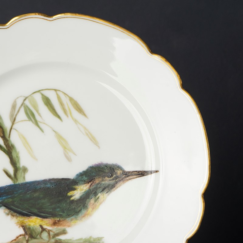 Antique French Hand-Painted Kingfisher Porcelain Plate, 19Th Century-rag-and-bone-dsc04349-main-638048228356810634.jpg