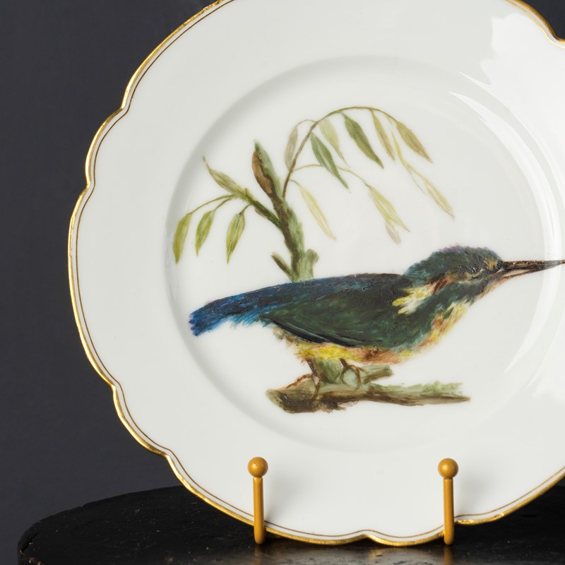 Antique French Hand-Painted Kingfisher Porcelain Plate, 19Th Century-rag-and-bone-dsc04350-main-638048228409622112.jpg