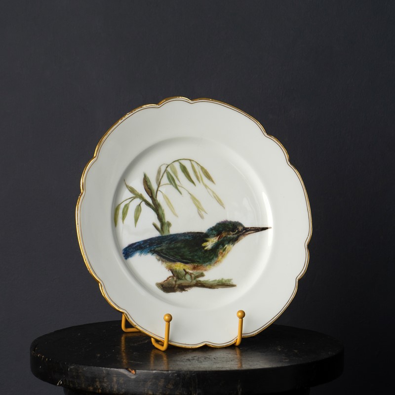 Antique French Hand-Painted Kingfisher Porcelain Plate, 19Th Century-rag-and-bone-dsc04351-main-638048228462433947.jpg