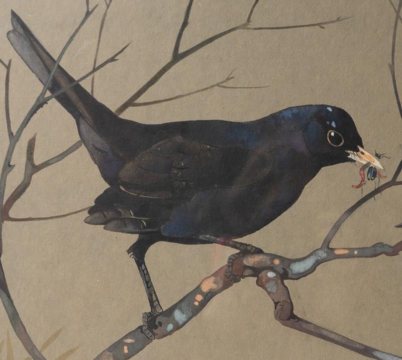  'Blackbird Feeding Young', Vintage Watercolour Painting By Ralston Gudgeon RSW-rag-and-bone-dsc06386jpg-bb-main-638386022763743139.jpg