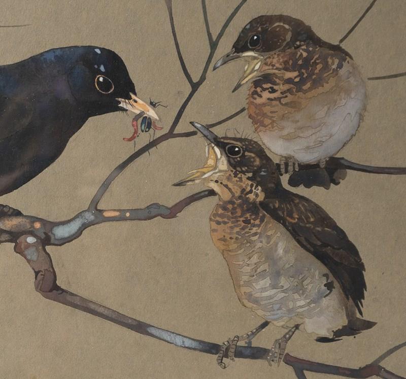  'Blackbird Feeding Young', Vintage Watercolour Painting By Ralston Gudgeon RSW-rag-and-bone-dsc06386jpg-close-up-1-main-638386022805461866.jpg