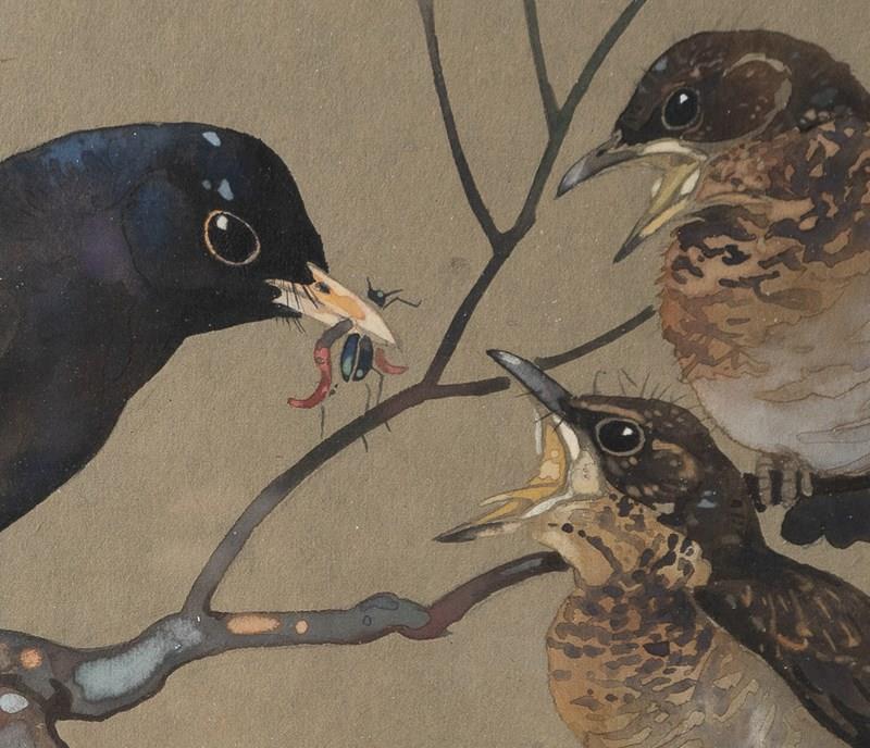  'Blackbird Feeding Young', Vintage Watercolour Painting By Ralston Gudgeon RSW-rag-and-bone-dsc06386jpg-closer-main-638386022786086882.jpg