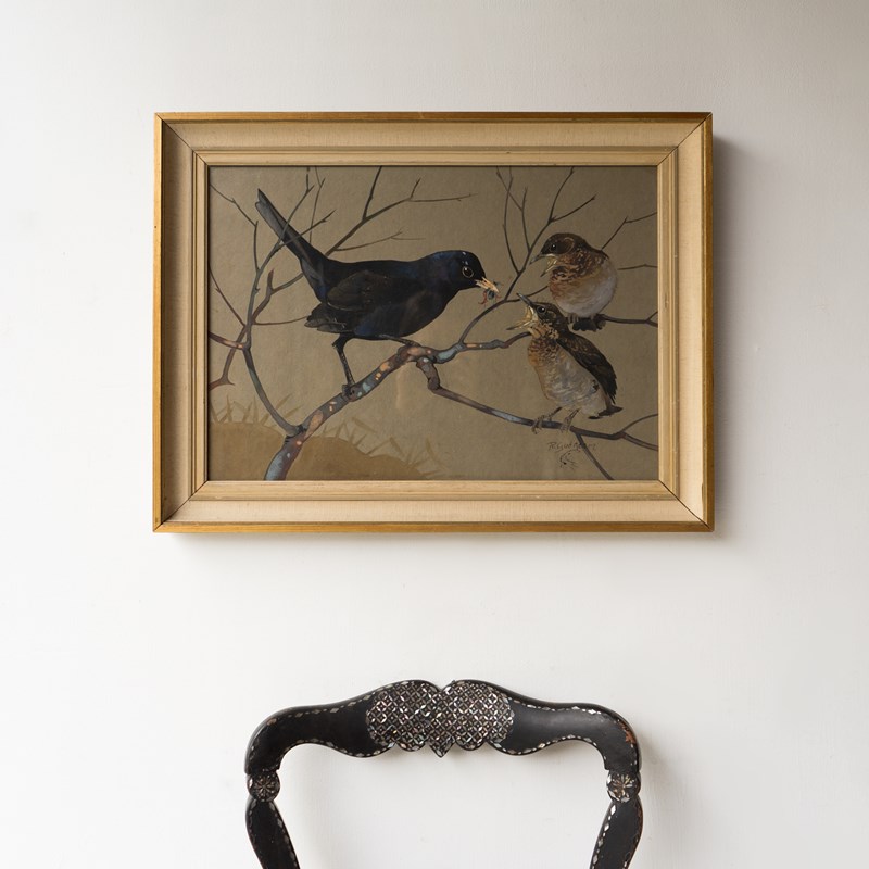  'Blackbird Feeding Young', Vintage Watercolour Painting By Ralston Gudgeon RSW-rag-and-bone-dsc06410-main-638386022662337962.jpg