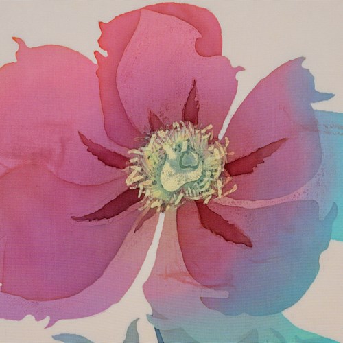 Japanese Ceremonial Silk Wall Tapestry – The Anzu-Botan