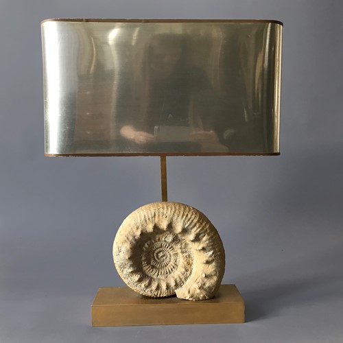 French 1970S Ammonite Table Lamp By Willy Darro