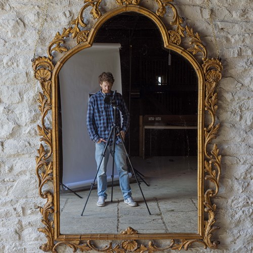 A Large 19Th Century Gilt Mirror