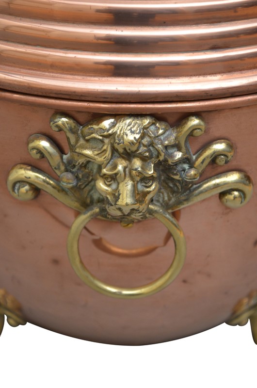 19th Century Copper Coal Scuttle or Planter -spinka-co-3-image-editing-indias-conflicted-copy-2019-05-30-main-637052704023716384.jpg