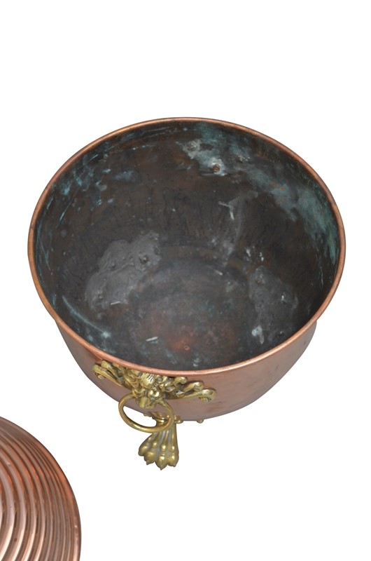 19th Century Copper Coal Scuttle or Planter -spinka-co-5-image-editing-indias-conflicted-copy-2019-05-30-main-637052704106841226.jpg