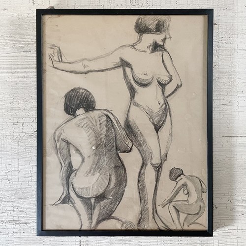 A 1950'S French Female Life Study - Charcoal On Paper