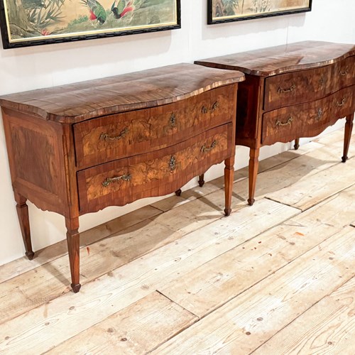 A Pair Of 18Th C Modina King Wood & Olive Wood Two Drawer Commodes