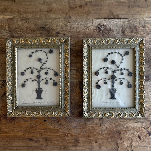A Pair Of 19Th C French Framed Decorative Horse Hair Floral Souvenirs