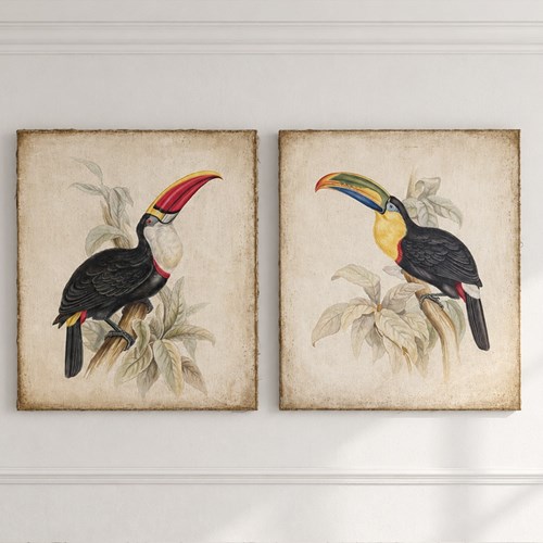 A Magnificent Pair Of Oil On Gesso Toucan Paintings