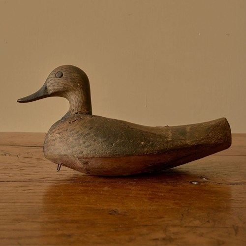 Early 20Th Century Decoy Duck - No5