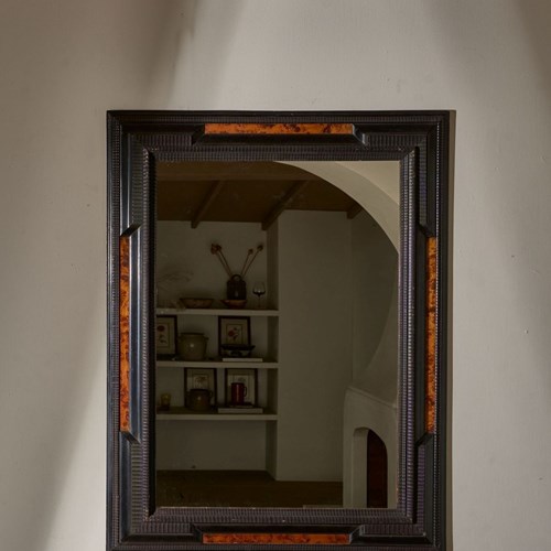 Large 19Th Century Italian Ebonised And Faux Tortoiseshell Mirror - No6