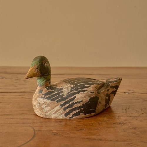 Early 20Th Century Decoy Duck - No1