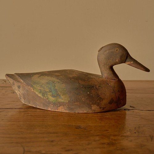 Early 20Th Century Decoy Duck - No6