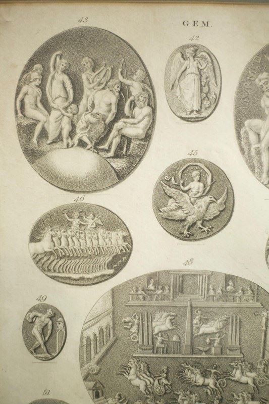 18Th Century Book Plate Of Intaglio's-tallboy-interiors-1--j1a7742-main-638141567329780459.jpeg