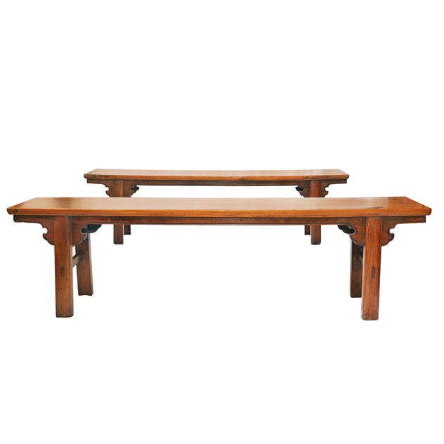 A Pair of Provincial Chinese Elm Benches -the-decorator-source-115_main_636210226181996449.jpg